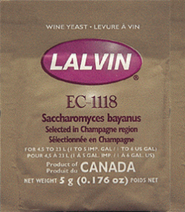 Drojdie vin Lalvin EC-1118 Champagne